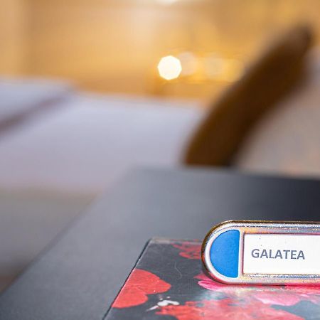 Casa Galatea In Canton De Fiori Bolonya Dış mekan fotoğraf